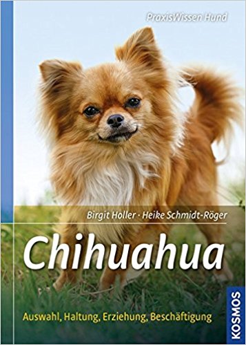 Chihuahua Buch