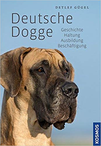 Deutsche Dogge | Verhalten, Charakter & Haltung