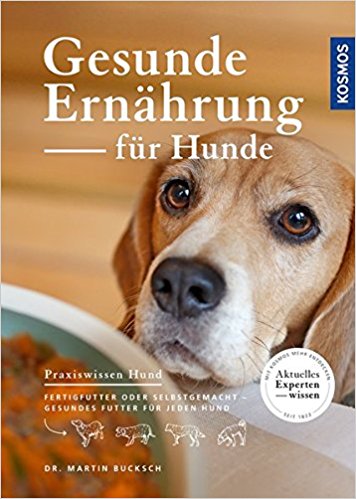 14 Lebensmittel die du deinem Hund nicht füttern solltest!