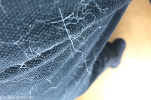Hose voller Hundehaare