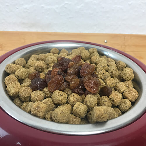 Rosinen als Hundefutter