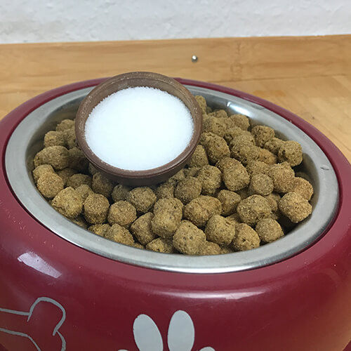 Salz als Hundefutter