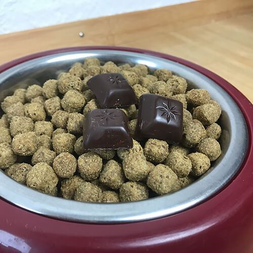 Schokolade als Hundefutter