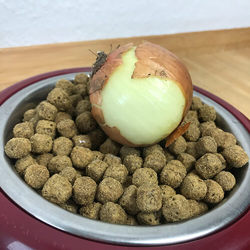 Zwiebel als Hundefutter
