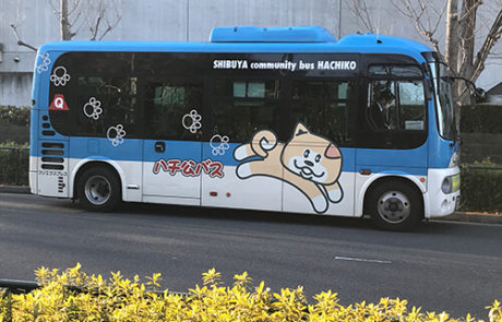 Shiba Inu auf Bus in Tokyo Japan