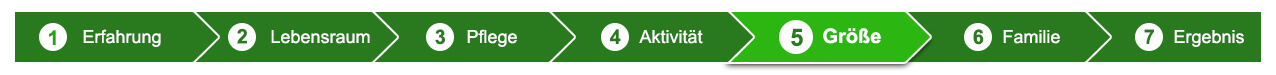 Frage 5 f1j-f2s-f3n-f4a
