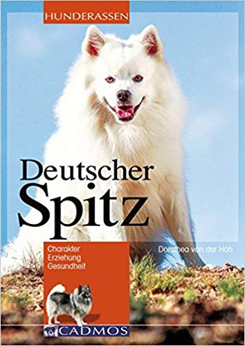 Zwergspitz Buch